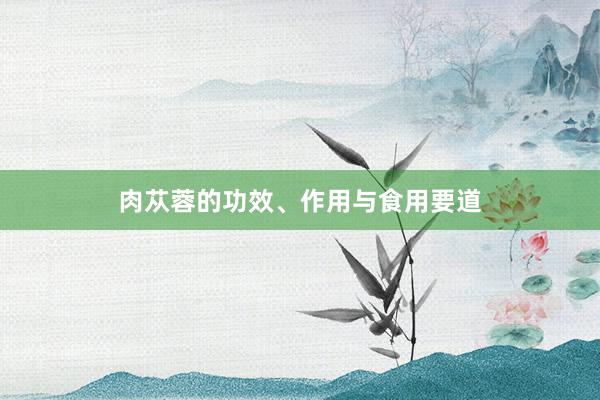 肉苁蓉的功效、作用与食用要道